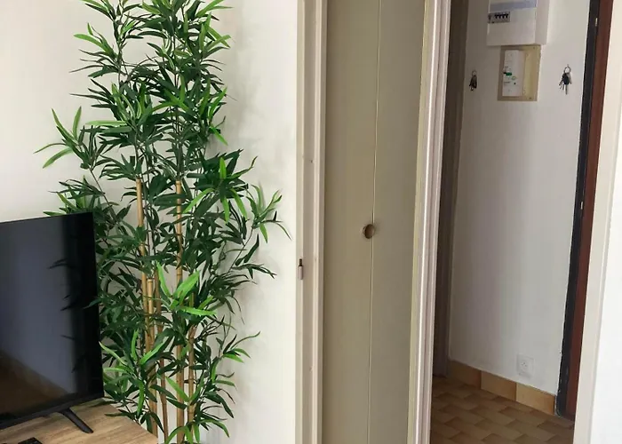 Magnifique T2 Port De Carnon Avec Wifi - à 400m Apartamento *