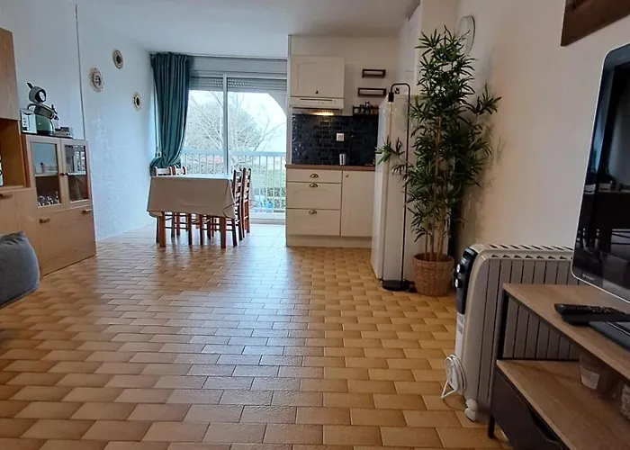 Apartamento Magnifique T2 Port De Carnon Avec Wifi - à 400m