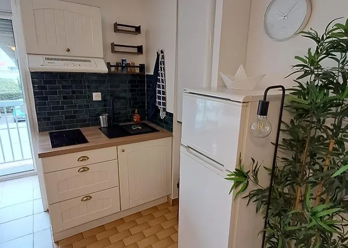 Apartamento Magnifique T2 Port De Carnon Avec Wifi - à 400m